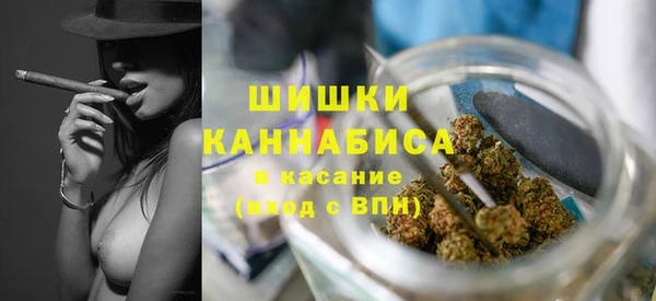 дживик Баксан