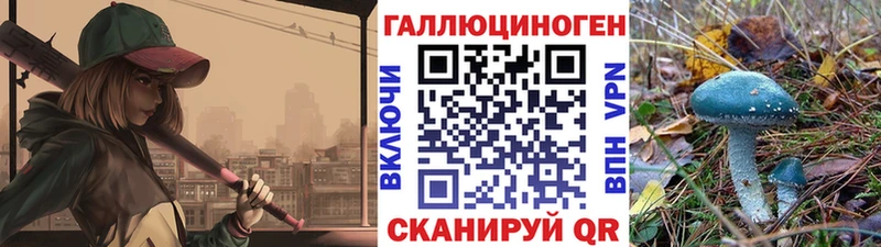 Псилоцибиновые грибы прущие грибы  цена наркотик  Ессентуки 