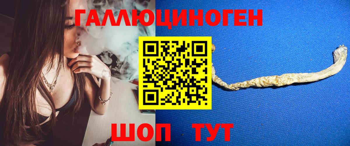 Псилоцибиновые грибы ЛСД  Галлюциногенные грибы Magic Shrooms  Ессентуки  Вход с VPN 