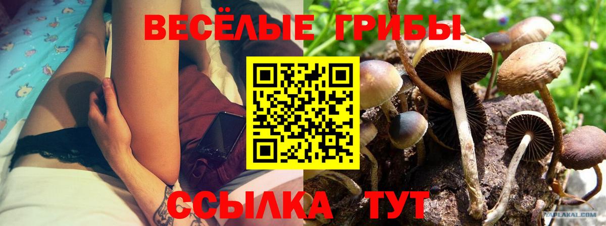 Галлюциногенные грибы мицелий Ессентуки